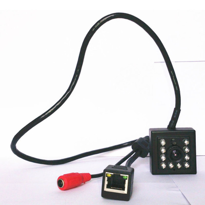 Nachtsicht-Vogel Soem-ODM IR Mini-IP-Kamera mit Verbindungsstück RJ45